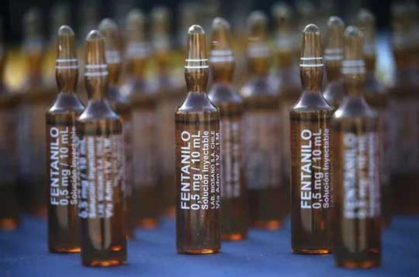 Fentanilo adulterado- confirman que el opioide incidioacute en 12 muertes