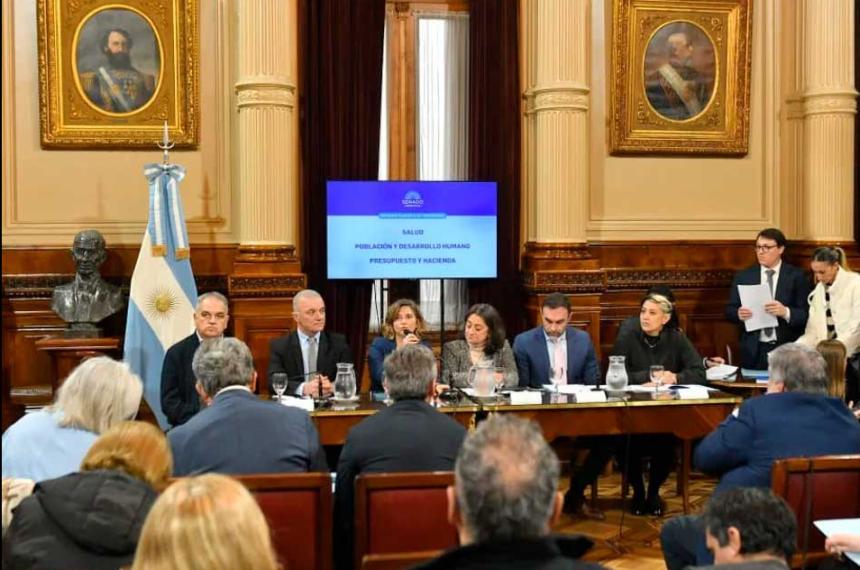 El Senado aproboacute la emergencia en pediatriacutea y pone al Gobierno contra las cuerdas