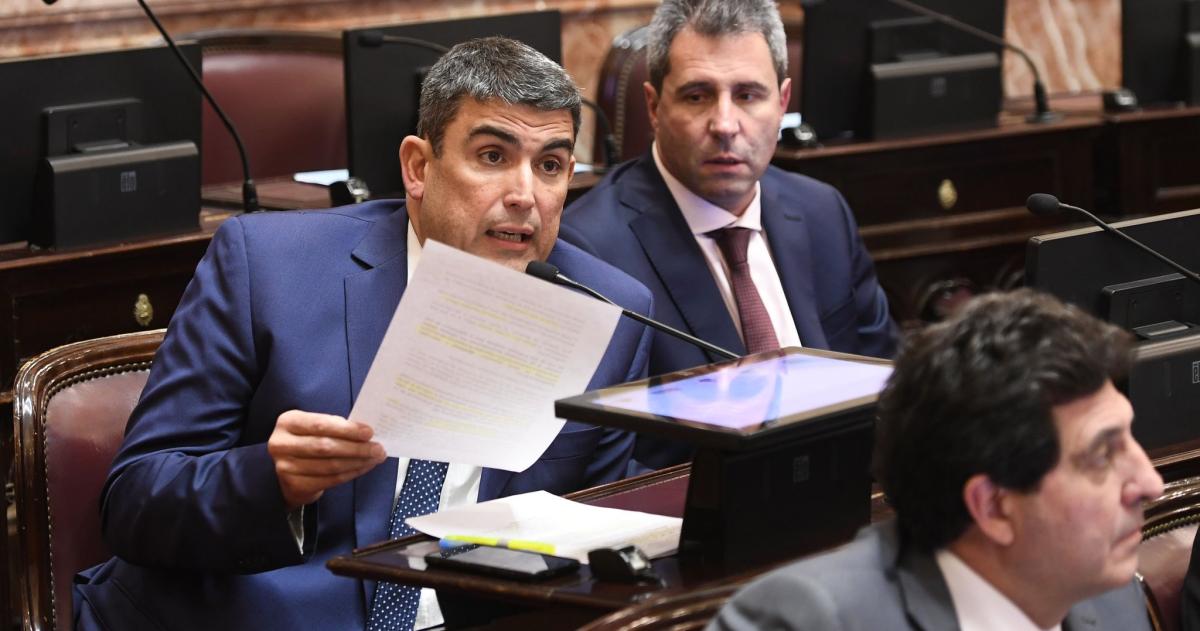 El interbloque peronista del Senado buscaraacute este martes firmar dictaacutemenes de universidades y Garrahan