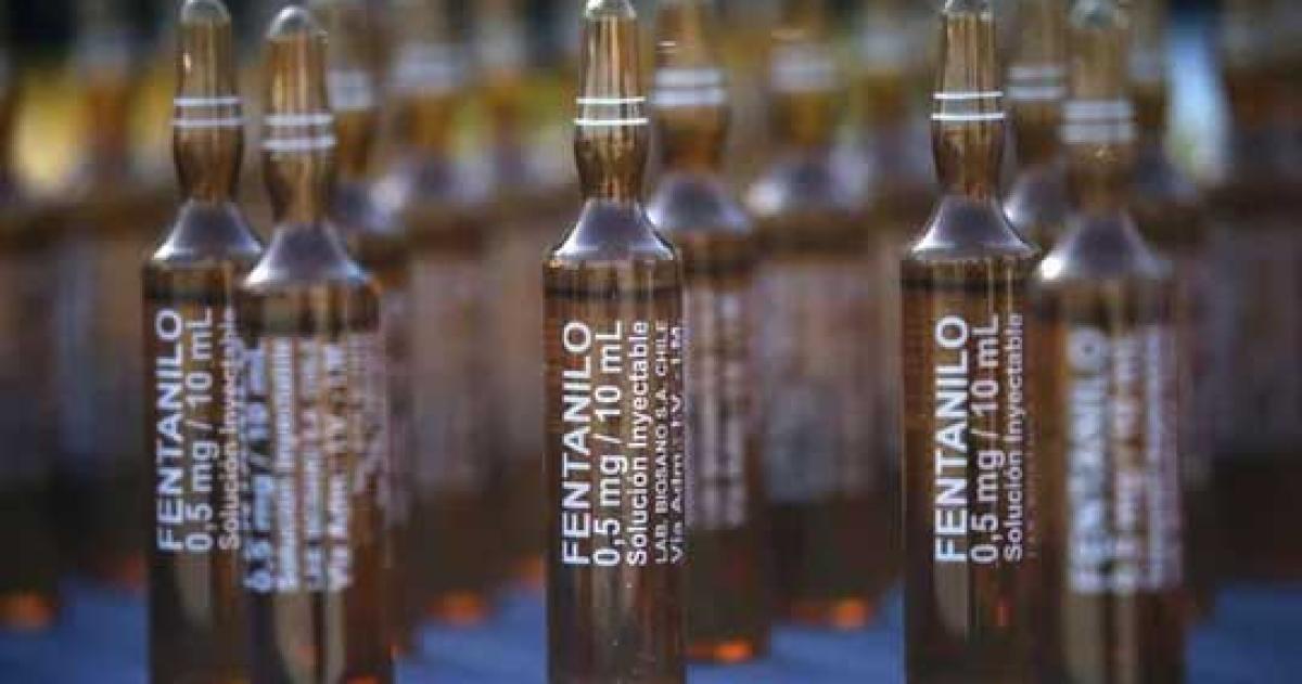 Fentanilo adulterado- confirman que el opioide incidioacute en 12 muertes