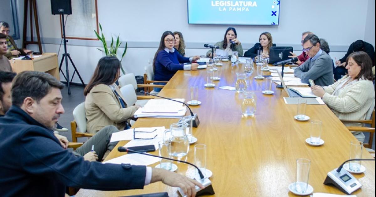 Diputados aprobaron pedido de informes sobre la central hidroeleacutectrica Los Divisaderos