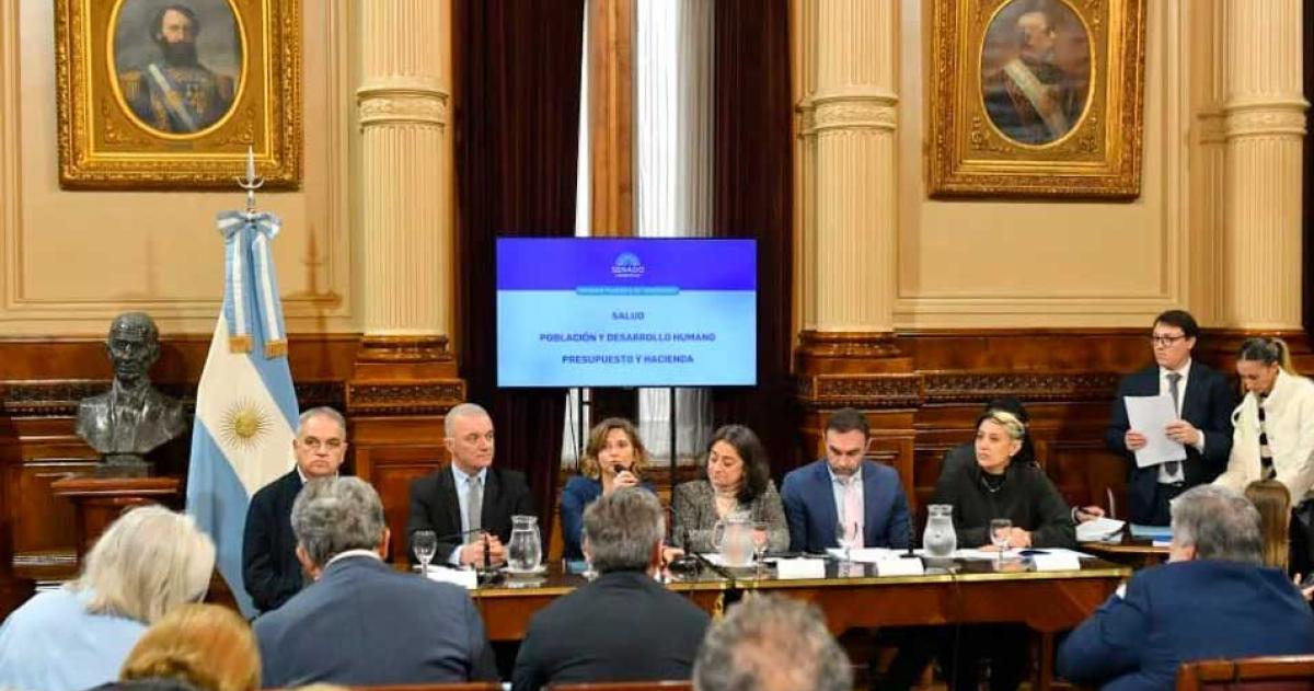 El Senado aproboacute la emergencia en pediatriacutea y pone al Gobierno contra las cuerdas