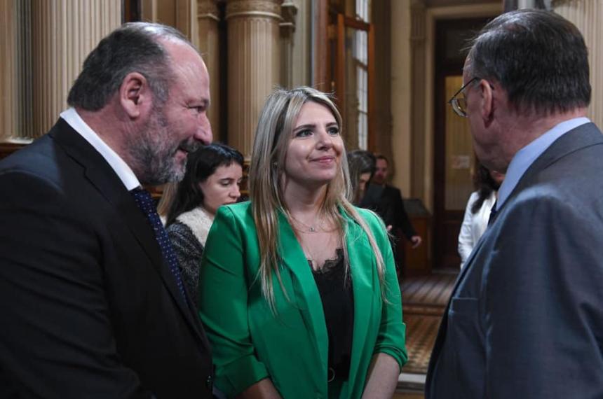 Kroneberger y Huala no acompantildearon los dictaacutemenes sobre universidades y el Garrahan