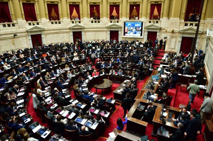 Diputados rechazoacute el veto de Milei a la emergencia en Discapacidad