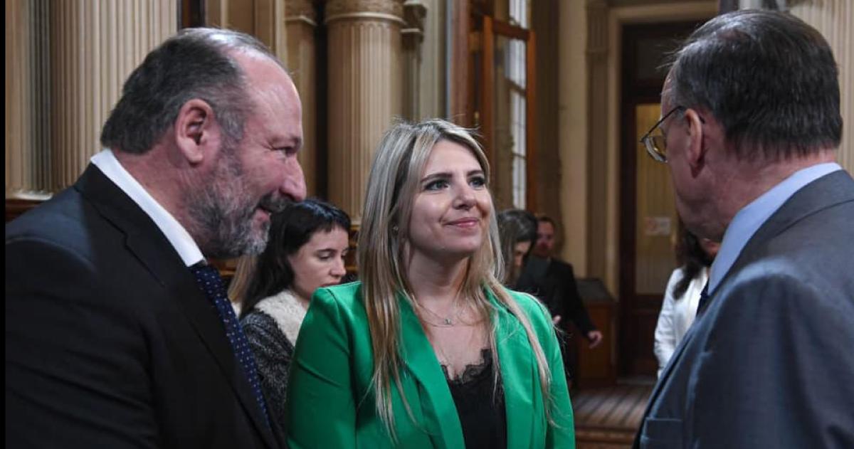 Kroneberger y Huala no acompantildearon los dictaacutemenes sobre universidades y el Garrahan