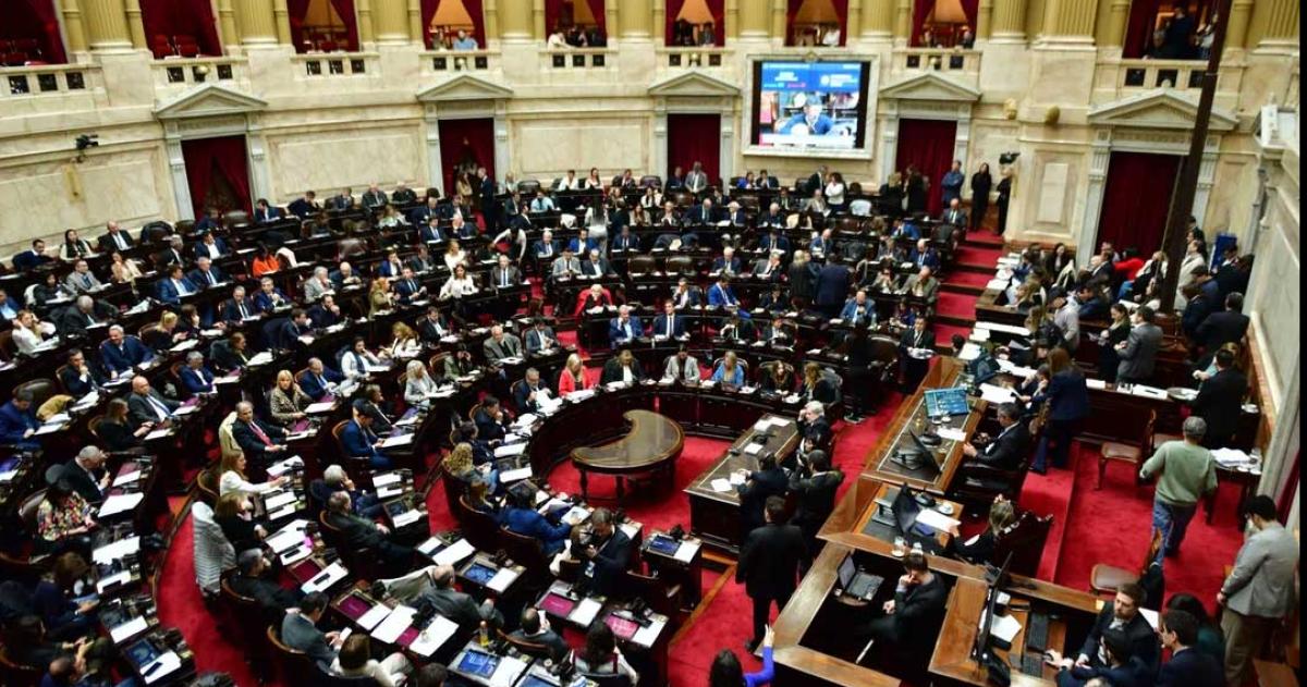 Diputados rechazoacute el veto de Milei a la emergencia en Discapacidad