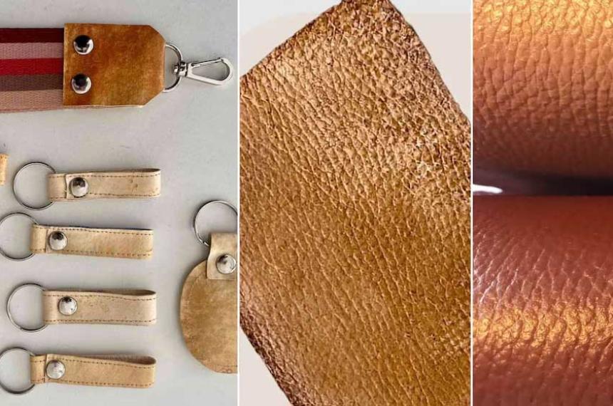 Moda sustentable- cientiacuteficas argentinas crearon un biomaterial similar al cuero a partir de hongos