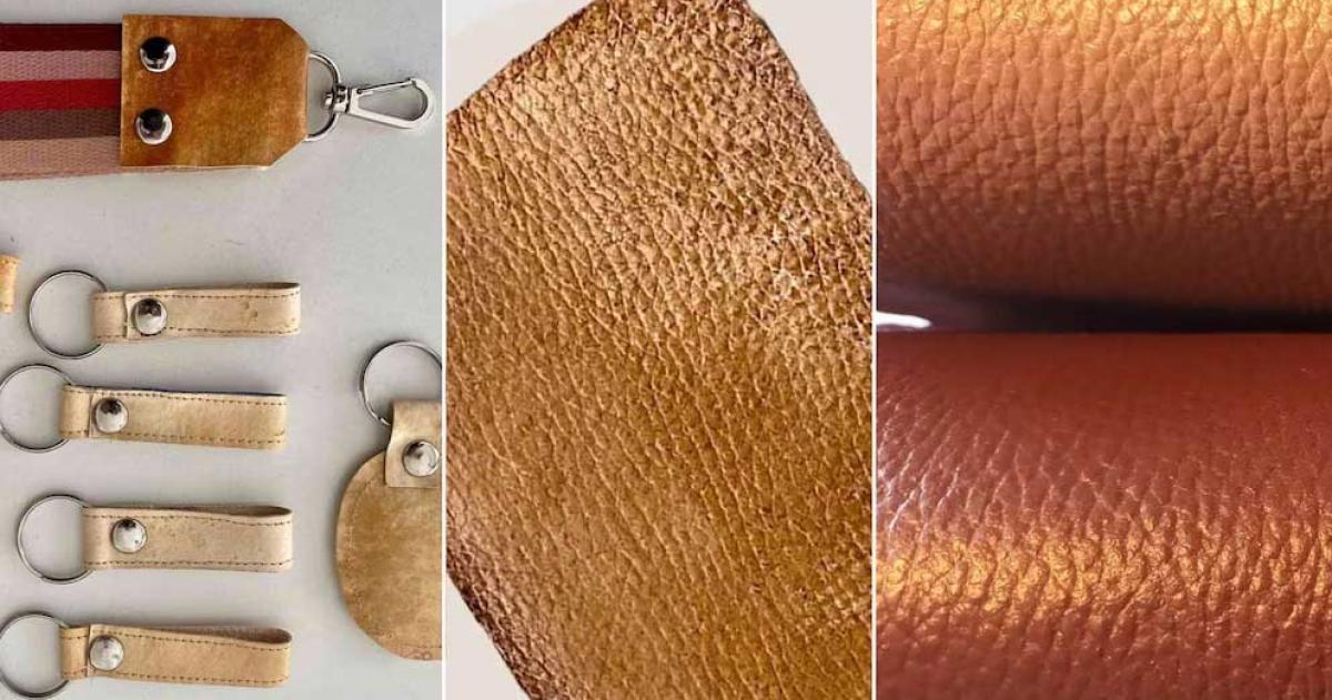 Moda sustentable- cientiacuteficas argentinas crearon un biomaterial similar al cuero a partir de hongos