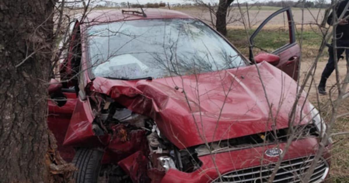 Murioacute un joven de 17 antildeos que chocoacute contra un aacuterbol en Catriloacute