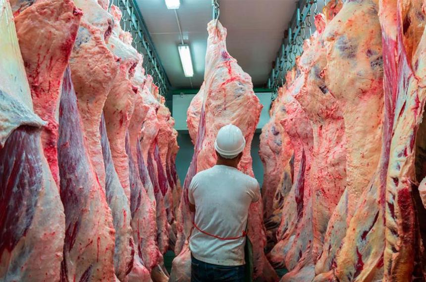 Exportaciones de alimentos argentinos crecieron maacutes del 50-en-porciento- en el primer semestre