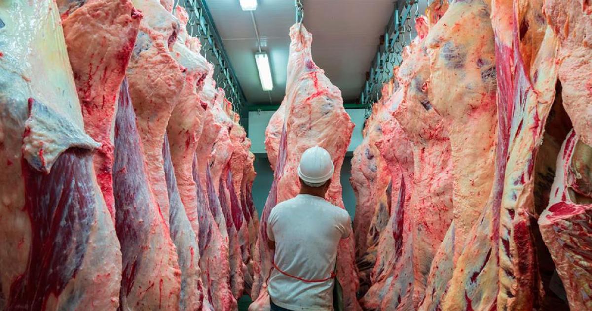 Exportaciones de alimentos argentinos crecieron maacutes del 50-en-porciento- en el primer semestre