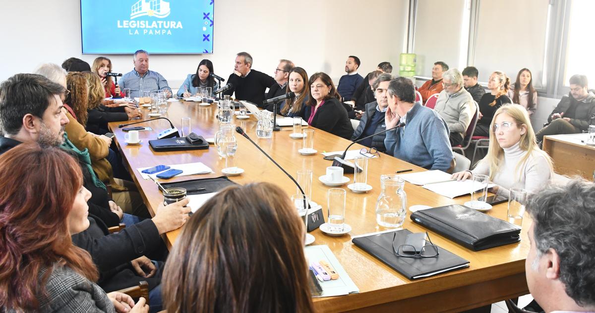 Diputados- Se reunieron los presidentes de bloque pero no hay avances por Medanito