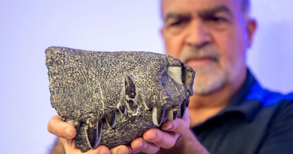 Descubren un pariente extinto de los cocodrilos modernos que convivioacute con los dinosaurios en la Patagonia