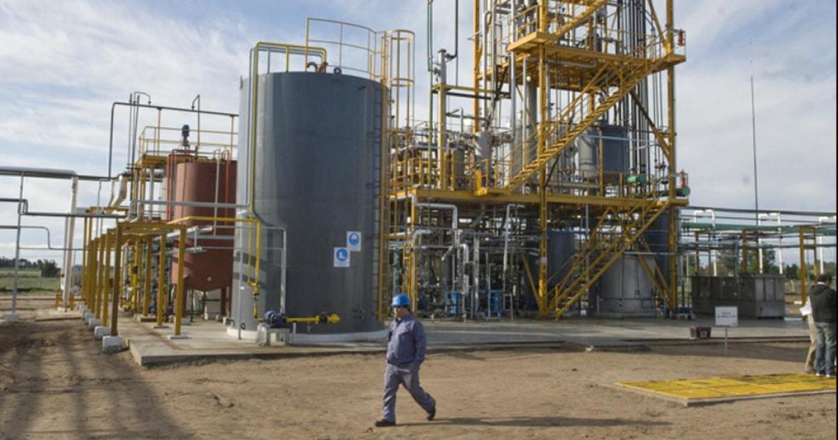 Enresa y Pampa Bio producen a peacuterdida y advierten riesgo de continuidad
