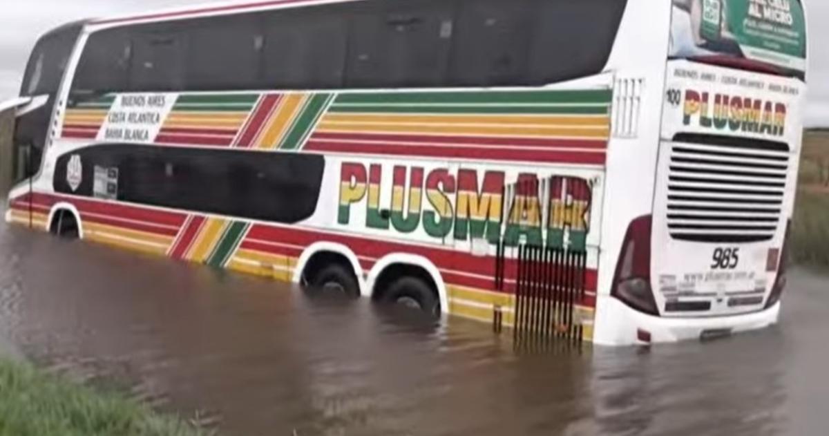 Un micro varado en la ruta 5- una raacutefaga nos sacoacute