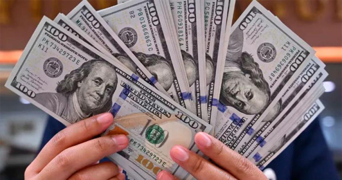 El doacutelar oficial arranca la semana y el mes en alza