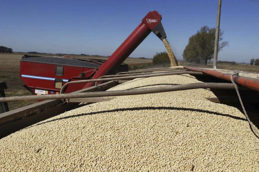 La Pampa exportoacute USD 554 millones en el primer semestre y crecioacute 28-en-porciento- interanual