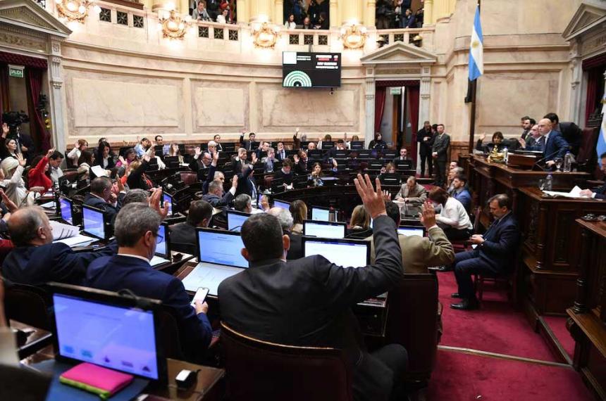 El Senado aproboacute un proyecto que limita el uso de DNU por parte del presidente