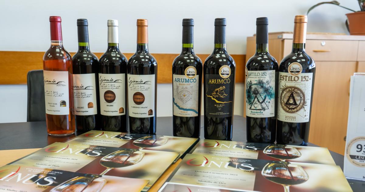 Vinos pampeanos cosecharon 20 distinciones internacionales