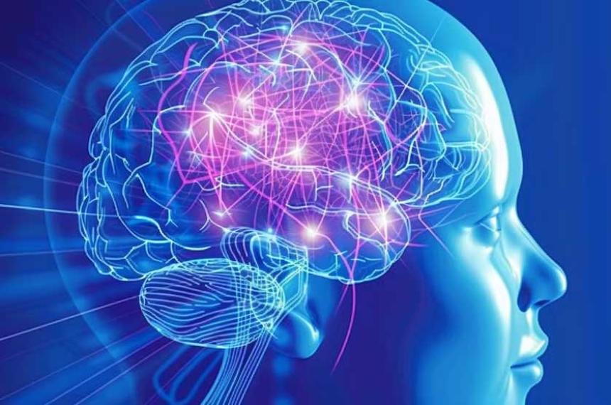 Los haacutebitos poco conocidos que pueden revelar una inteligencia avanzada
