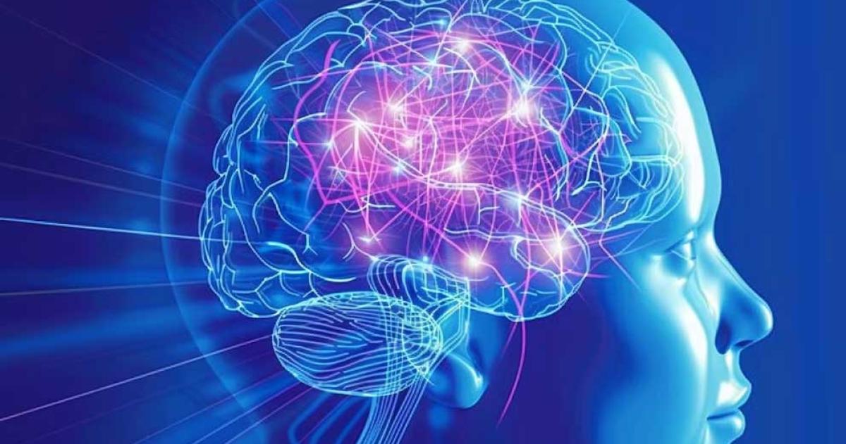 Los haacutebitos poco conocidos que pueden revelar una inteligencia avanzada