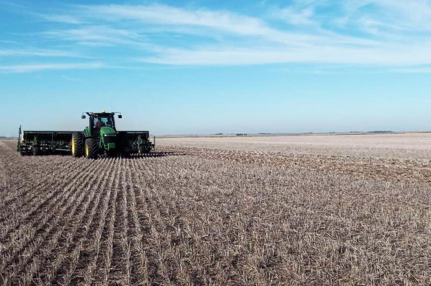 Trigo en La Pampa- viejas teacutecnicas nuevos desafiacuteos y oportunidades de rendimiento
