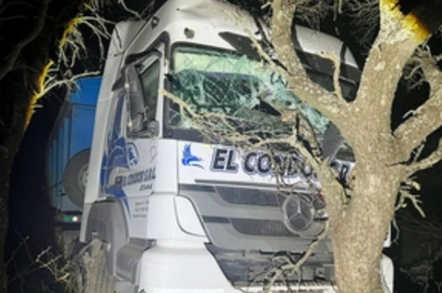 Un camioacuten se pasoacute de largo y chocoacute contra un monte de caldenes dentro de un campo