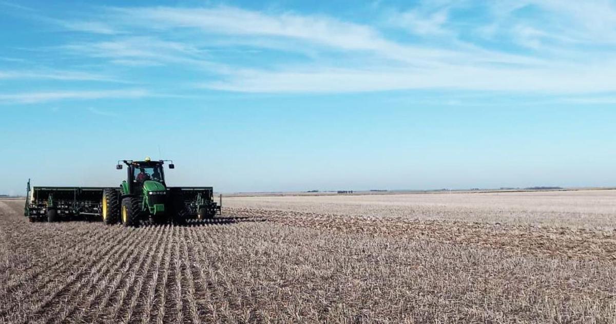 Trigo en La Pampa- viejas teacutecnicas nuevos desafiacuteos y oportunidades de rendimiento