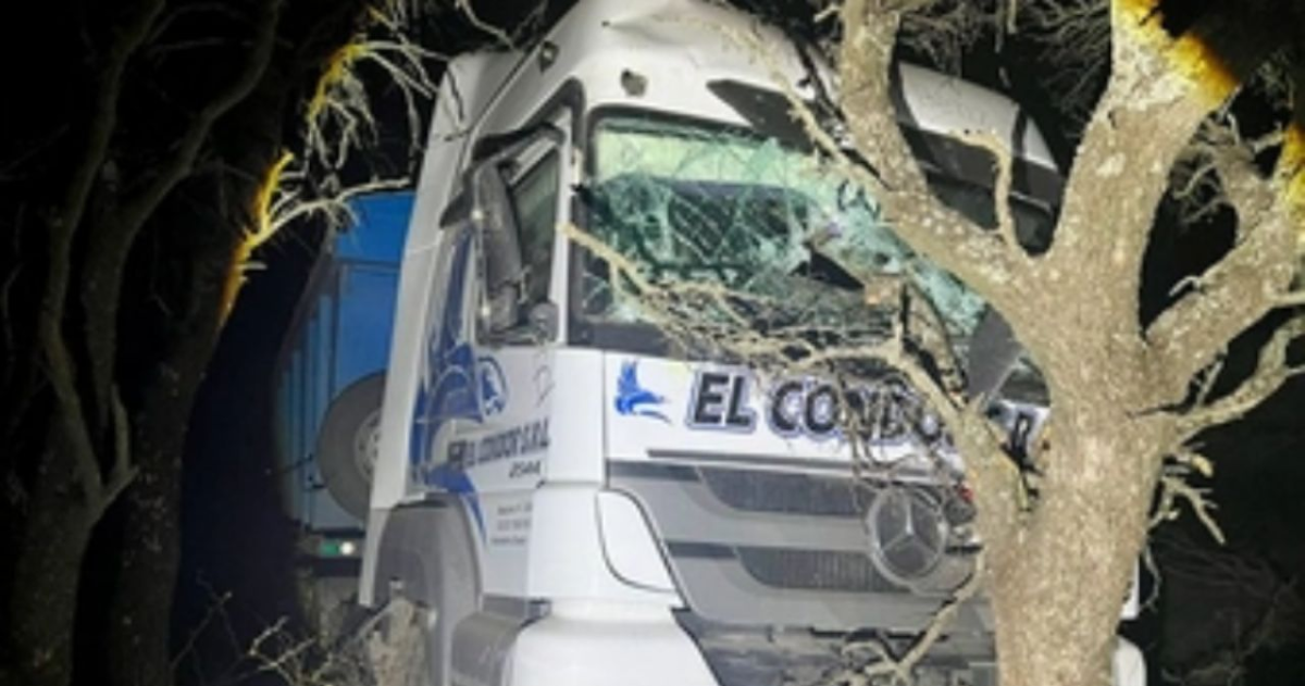 Un camioacuten se pasoacute de largo y chocoacute contra un monte de caldenes dentro de un campo