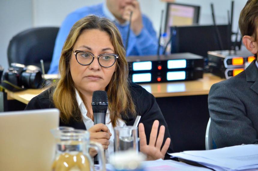 Nintildeez- diputada pide informes sobre avances tras el Caso Lucio