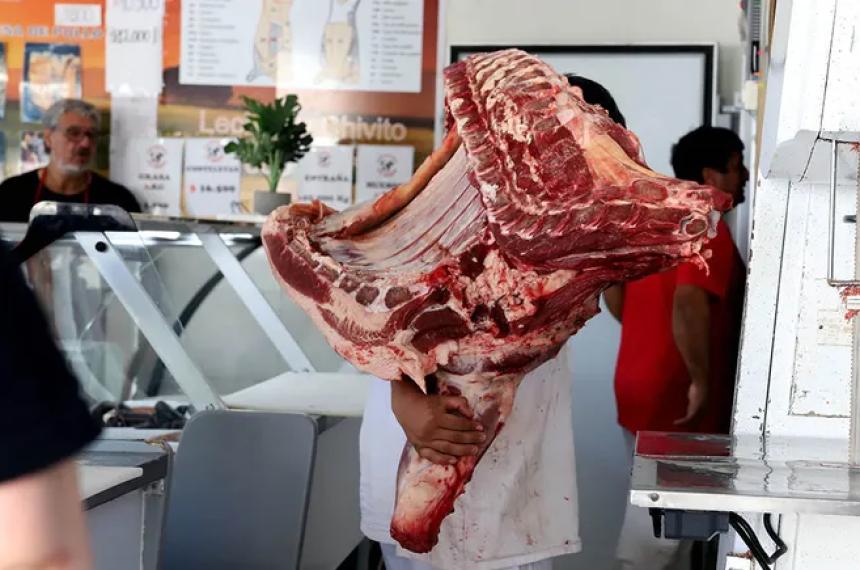 El ingreso de carne con hueso al sur del Colorado sigue habilitado