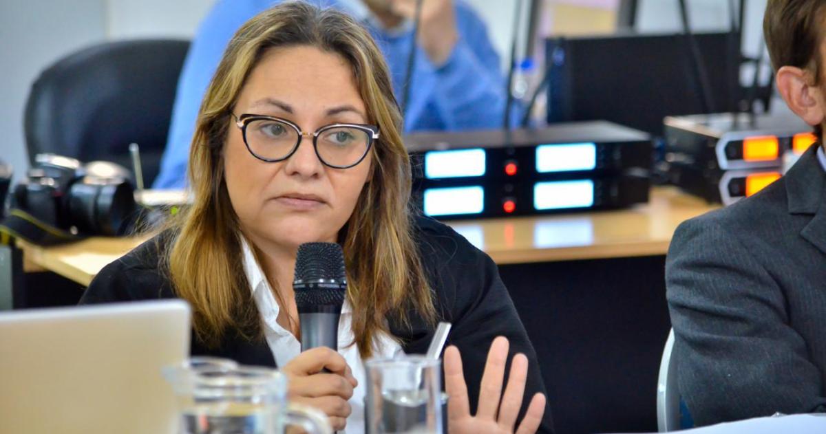 Nintildeez- diputada pide informes sobre avances tras el Caso Lucio