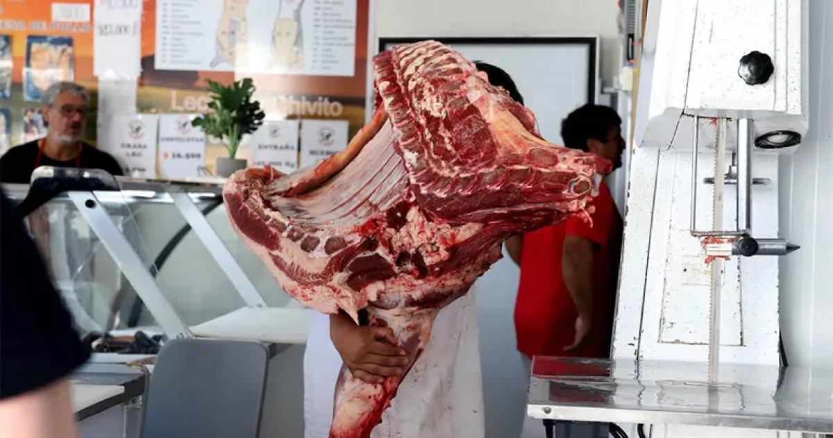 El ingreso de carne con hueso al sur del Colorado sigue habilitado
