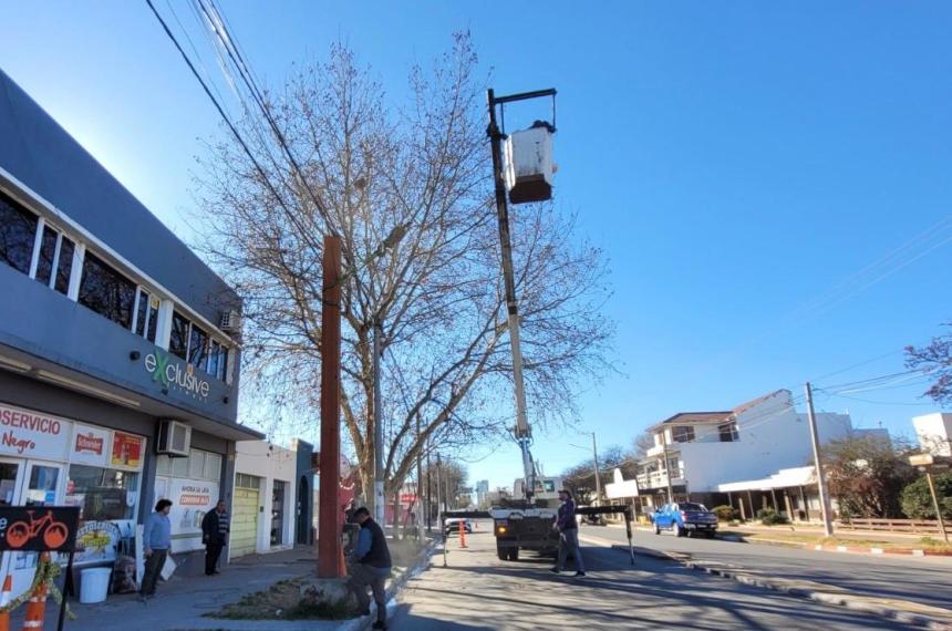 Retiran maacutes de 20 carteles comerciales en Santa Rosa