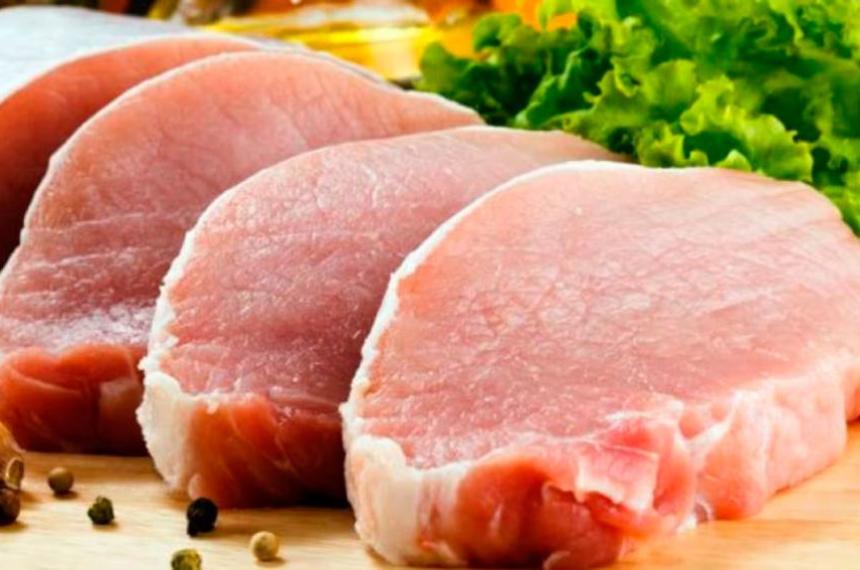 Produccioacuten porcina en Argentina alcanzoacute un reacutecord histoacuterico- maacutes de 55 millones de cerdos faenados
