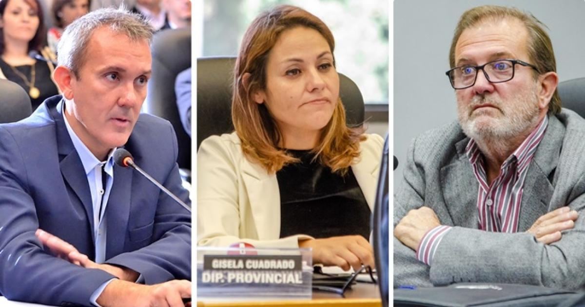 Radicales contra la licitacioacuten por Medanito- deja maacutes interrogantes que respuestas