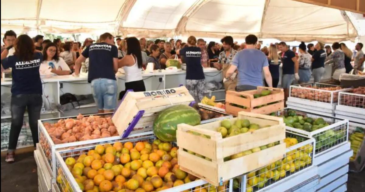 Ofertas especiales este saacutebado en el Mercado Municipal