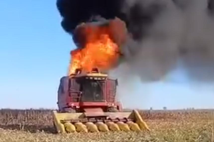 Ardioacute una cosechadora en un campo de Trenel