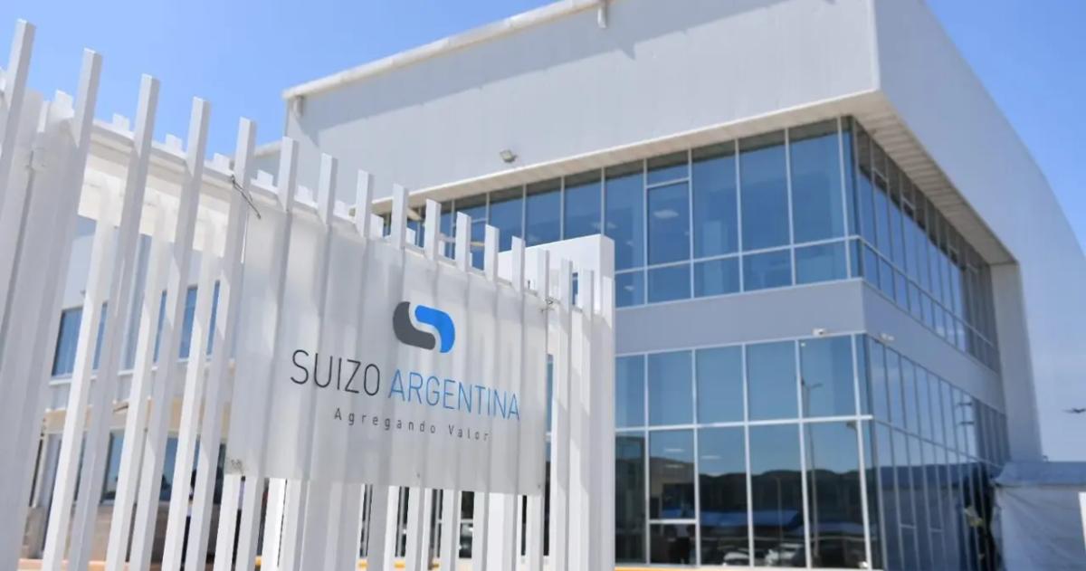 Investigan maacutes de 600 contratos entre ANDIS y Suizo Argentina- la mira sobre la familia Kovalivker
