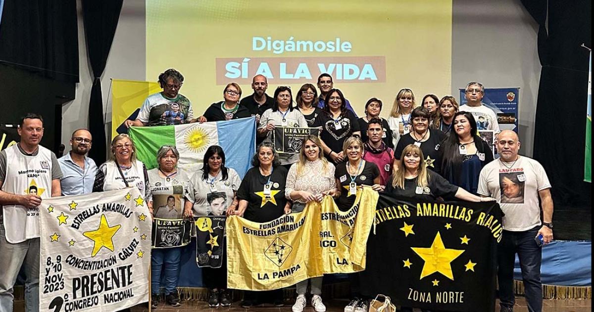 Estrellas Amarillas apoya el tratamiento de la reforma del Coacutedigo Penal sobre delitos viales en el Senado