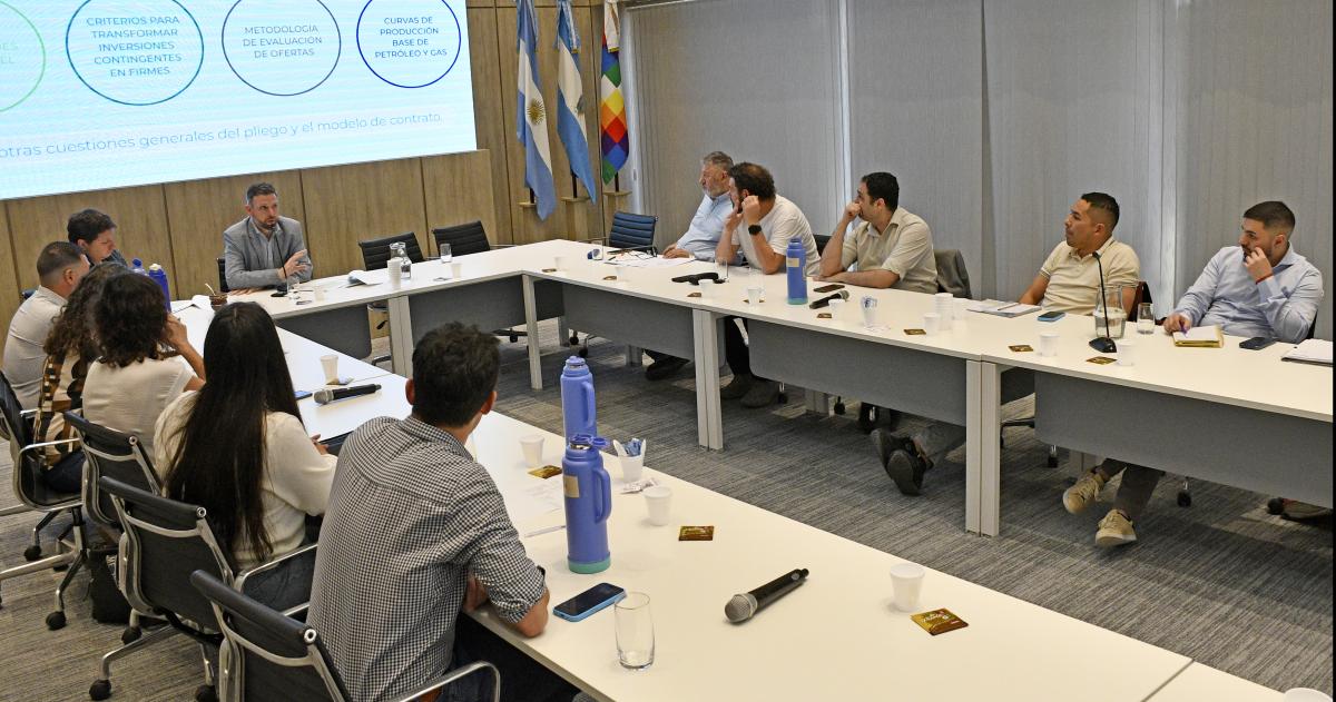Reanudan tareas para la licitacioacuten del aacuterea hidrocarburiacutefera El Medanito