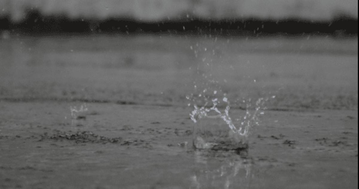 La lluvia acumulada en Santa Rosa supera los 50 miliacutemetros