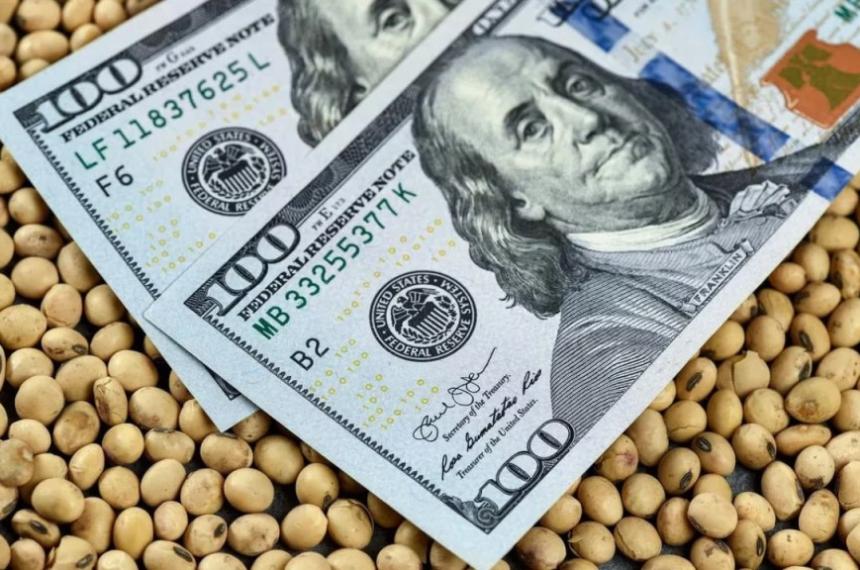 El campo liquidoacute US32426 millones y crecioacute la exportacioacuten