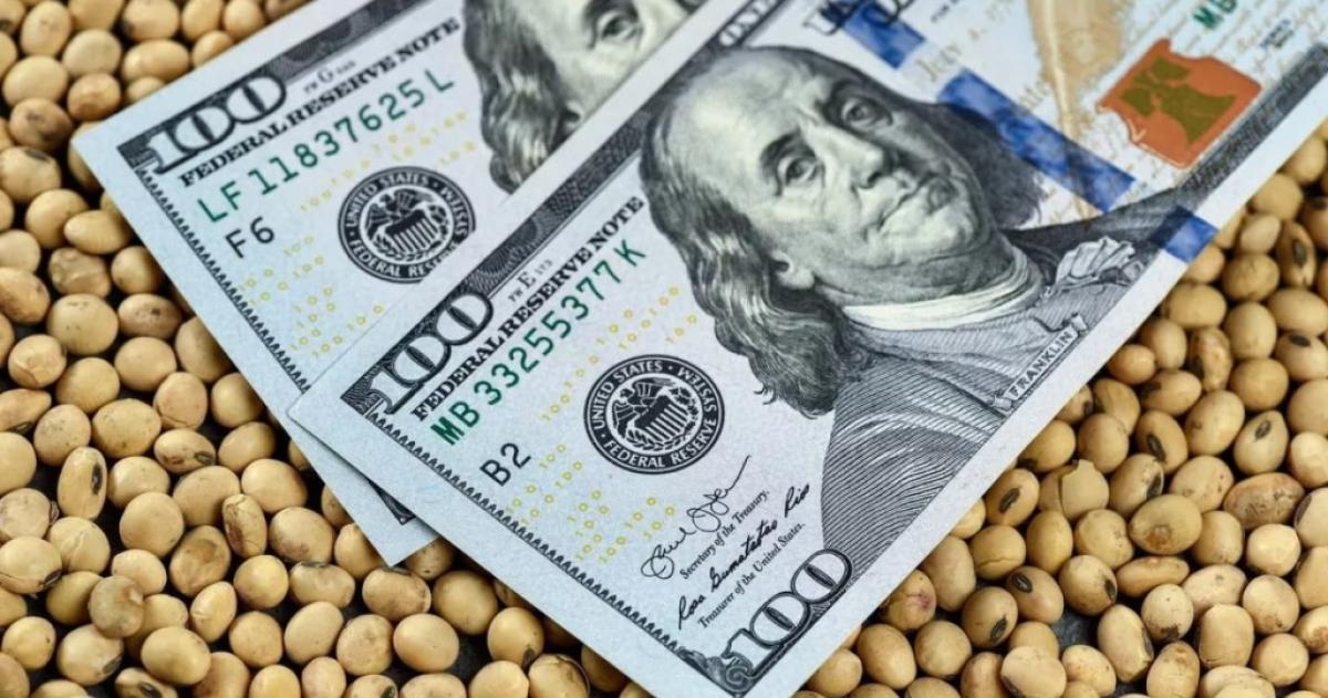 El campo liquidoacute US32426 millones y crecioacute la exportacioacuten