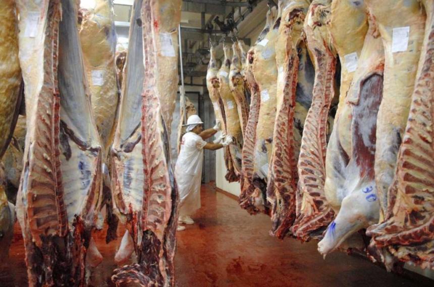 El Gobierno tambieacuten eliminaraacute las retenciones para la carne aviacutecola y bovina