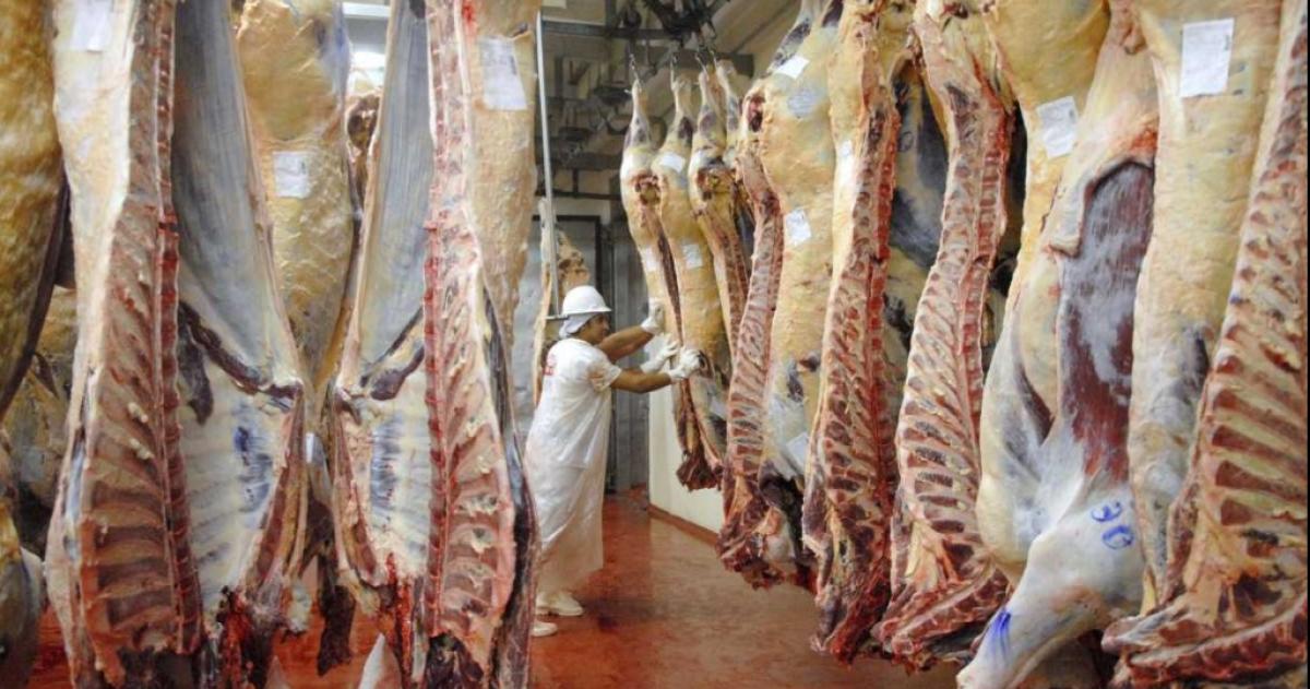 El Gobierno tambieacuten eliminaraacute las retenciones para la carne aviacutecola y bovina
