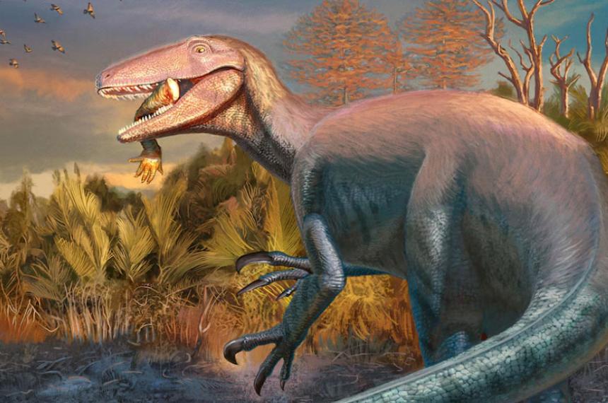 Descubren gigantesco dinosaurio en la Patagonia- comiacutea cocodrilos