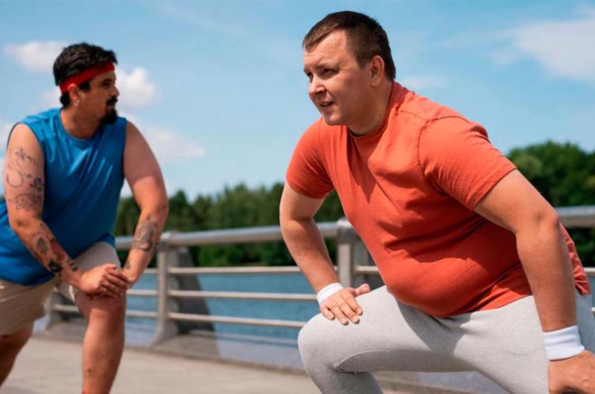 Obesidad- detectan cinco patrones distintos de sobrealimentacioacuten en adultos