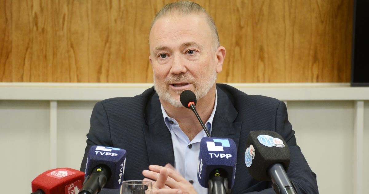 Suspensioacuten de ley de discapacidad- nula e inconstitucional