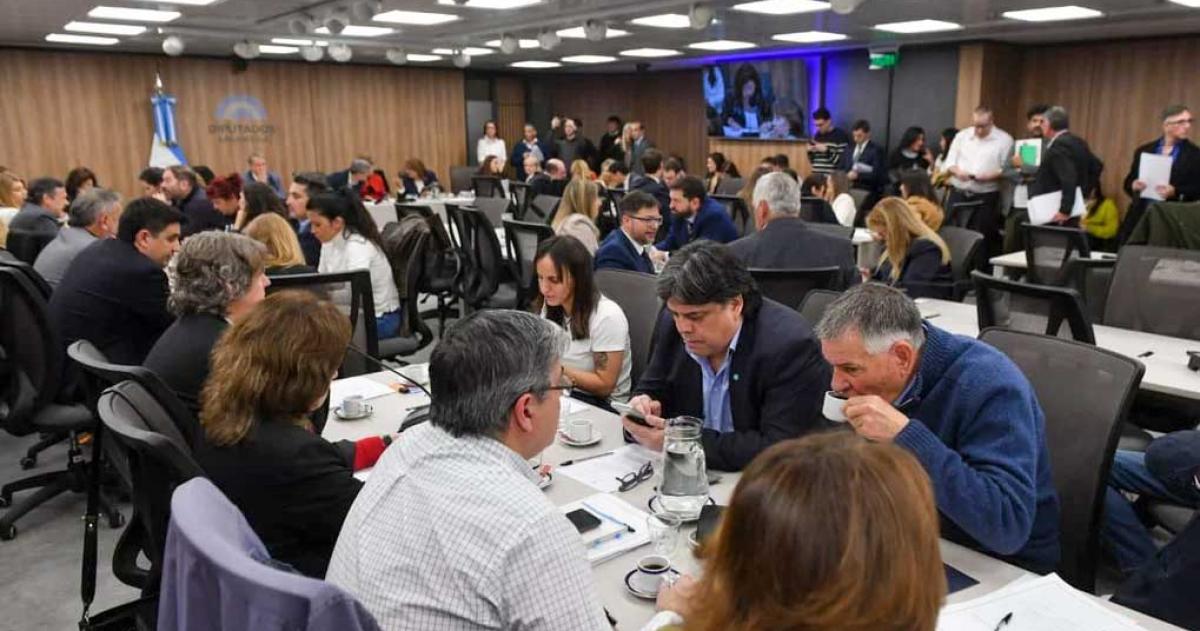 Diputados- la oposicioacuten puso en marcha su ofensiva para limitar el uso de los decretos